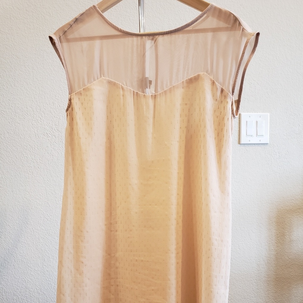 Nude and Gold Blouse